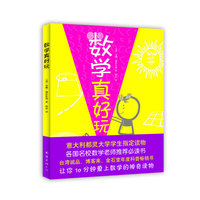 数学真好玩（各国名校数学老师 书）