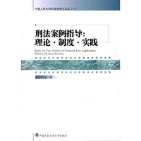 刑法案例指导:理论.制度.实践