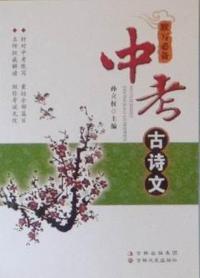 中考古诗文