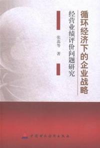 循环经济下的企业战略经营业绩评价问题研究
