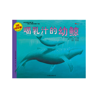 喝乳汁的幼鲸