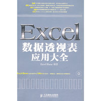 Excel数据透视表应用大全(平装)