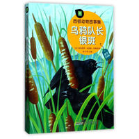 乌鸦队长银斑