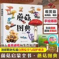 蘑菇图典