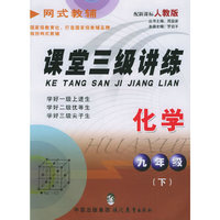 课堂三级讲练.九年级化学.下（人教版）