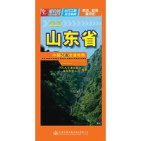 2016-中国分省交通地图-山东省