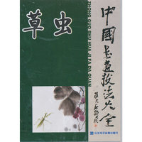 中国书画技法大全：草虫（2DVD）