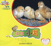 绒球小鸡