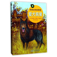 爱犬宾果