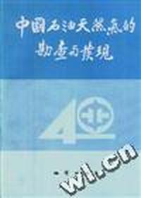 中国石油天然气的勘查与发现