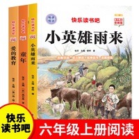 快乐读书吧六年级上册（全3册）小英雄雨来+童年+爱的教育