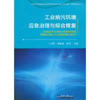 工业纳污坑塘应急治理与综合修复