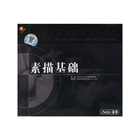 素描基础 美术高考实用宝典2VCD+配册(VCD)