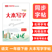 写意年华大本写字语文一年级下册楷书书法练字课文知识同步字帖规范书法临摹练习本