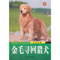金色炫舞:金毛寻回猎犬