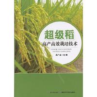 超级稻高产高效栽培技术