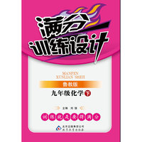 满分训练设计：9年级化学（下）（鲁教版）
