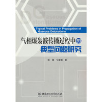 气相爆轰波传播过程中的典型问题研究