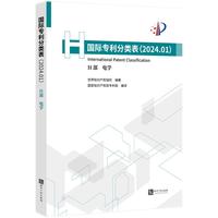 国际专利分类表（2024.01）H部 电学