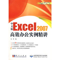 中文版Excel 2007（高效办公实例精讲)