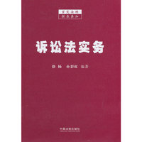 诉讼法实务