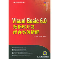Visual Basic 6.0数据库开发经典实例精解