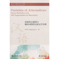 汉语焦点副词与疑问词的形式语义学分析