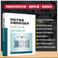 钾离子电池关键材料与技术