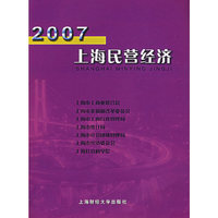 2007上海民营经济