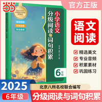 【荣恒】小学语文分级阅读与词句积累六6年级小学语文课本同步拓展阅读理解专项训练好词好句积累大全