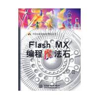 Flash MX编程魔法石
