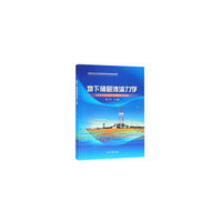 地下储层渗流力学