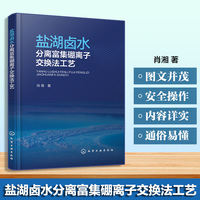 盐湖卤水分离富集硼离子交换法工艺