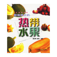 琳琅满目的热带水果