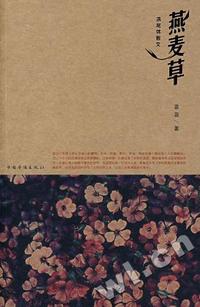 神勇铁金刚(V)