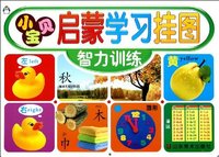 智力训练-小宝贝启蒙学习挂图