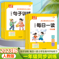 一年级语文基础知识小能手 全6册