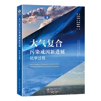 大气复合污染成因新进展：化学过程(大气复合污染成因与应对机制丛书)