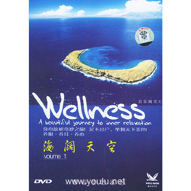 海阔天空volume1(dvd)