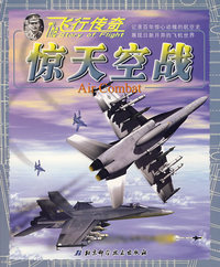飞行传奇：惊天空战