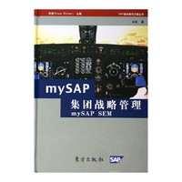 MYSAP集团战略管理