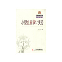 小型企业审计实务(中国注册会计师实务丛书)