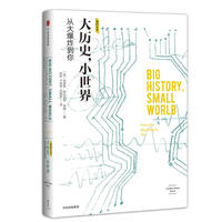 新思文库·大历史，小世界：从宇宙大爆炸到当下的你（我们人类系列）