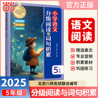 【荣恒】小学语文分级阅读与词句积累四4年级小学语文课本同步拓展阅读理解专项训练好词好句积累大全
