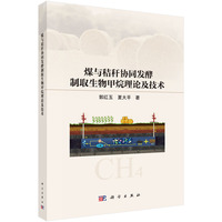煤与秸秆协同发酵制取生物甲烷理论及技术