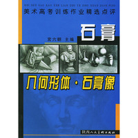 石膏几何形体·膏像——美术高考训练作业精选点评