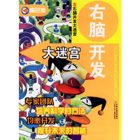 右脑开发大迷宫·橙色卷/左右脑开发大迷宫