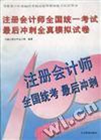 注册会计师全国统一考试最后冲刺全真模拟试卷