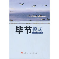毕节模式