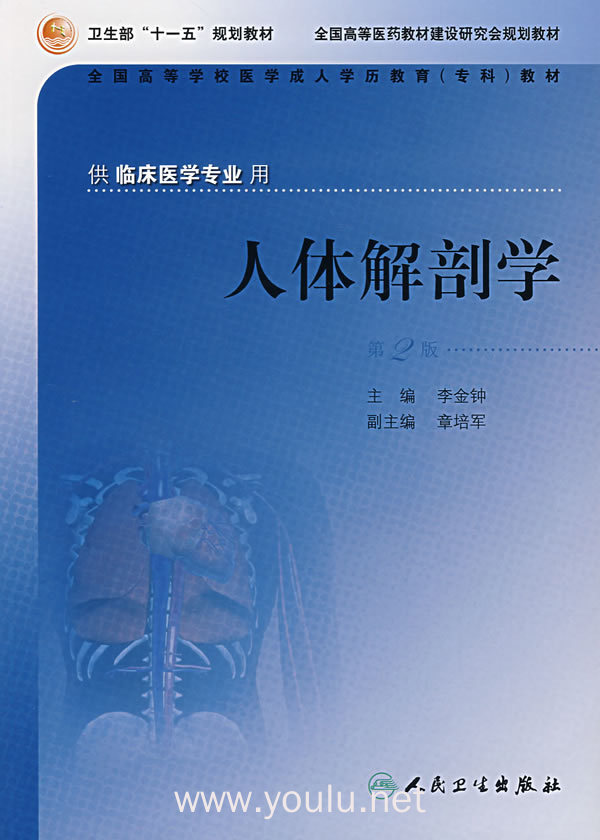 人体解剖学(第2版)